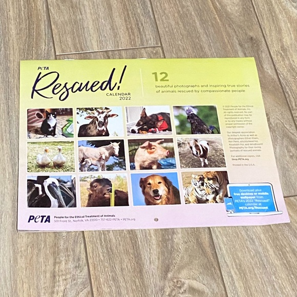 Peta Rescued | Office | Peta Rescued 222 6 Month Calendar | Poshmark